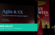 Lane Halley | Agile and UX: Two Great Tastes That Taste Great Together
